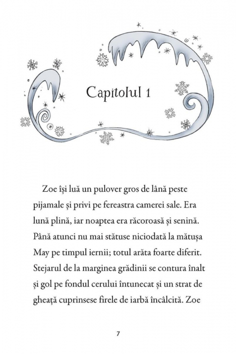 Unicornii magici. Targul de iarna (Usborne) [3]