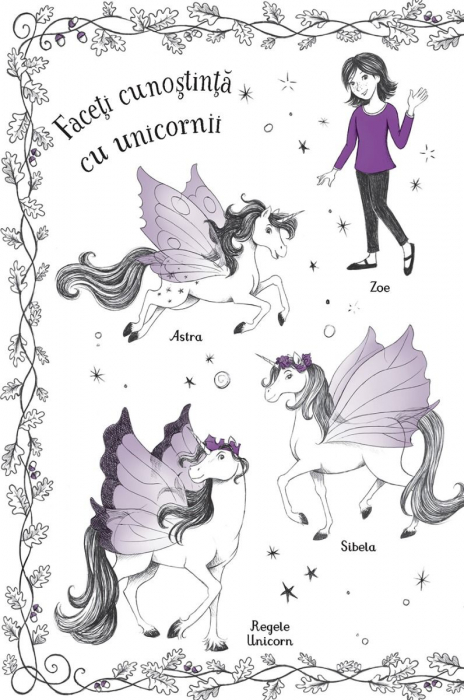 Unicornii magici. Padurea fermecata (Usborne) [2]
