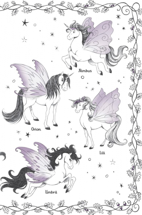 Unicornii magici. Padurea fermecata (Usborne) [3]