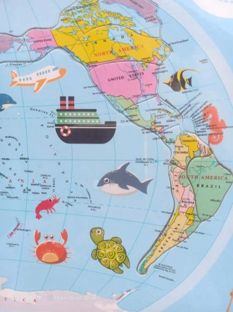 Puzzle educativ  din  lemn harta lumii, 27 piese, 3 ani+, EduJucarii [2]