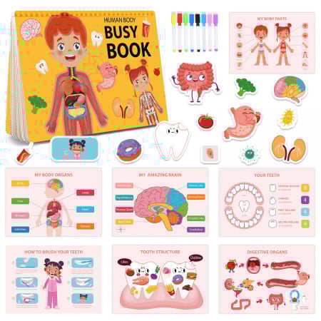 Carte interactiva si educativa pentru copii, Busy Book Corpul Uman, 30 pagini activitati multiple, autocolante, Limba Engleza, 3 ani+, EduJucarii