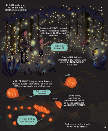Ce se intampla noaptea? (Usborne) [5]