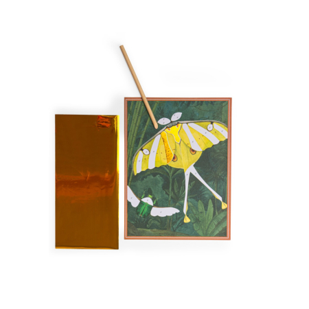 Joc creativ Planse fantastice Insecte si animale, Moulin Roty [1]