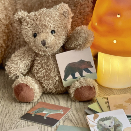 Joc memo Padure, Egmont Toys [1]