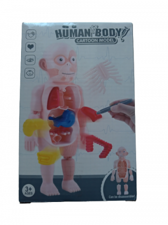 Jucarie educativa anatomia corpului uman, pentru copii de peste 3 ani [3]