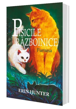 Pisicile Războinice - Pisicile Razboinice Vol.4: Furtuna