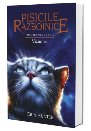 Pisicile Războinice - Pisicile Razboinice Vol.13: Puterea celor trei. Viziunea