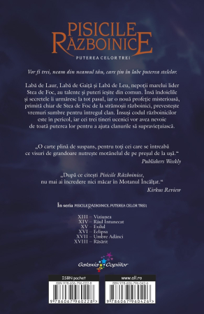 Pisicile Razboinice Vol.13: Puterea celor trei. Viziunea [1]