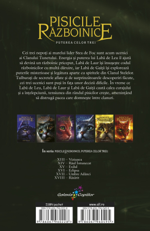 Pisicile Razboinice Vol.14: Puterea celor trei. Râul întunecat [1]