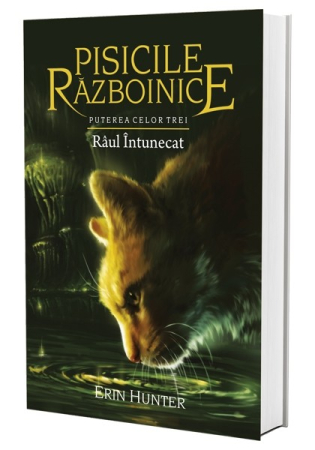 Pisicile Războinice - Pisicile Razboinice Vol.14: Puterea celor trei. Râul întunecat