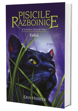 Pisicile Războinice - Pisicile Razboinice Vol.15: Puterea celor trei. Exilul
