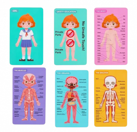 Puzzle educativ, Anatomia Corpului Uman, Limba Romana, Fata, 36 piese, 3 ani+, Edujucarii [8]