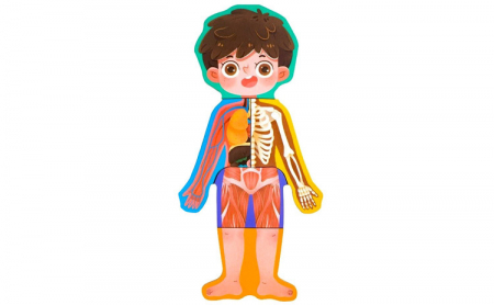 Puzzle educativ, Anatomia Corpului Uman, Limba Romana, Baiat, 36 piese, 3 ani+, Edujucarii [7]