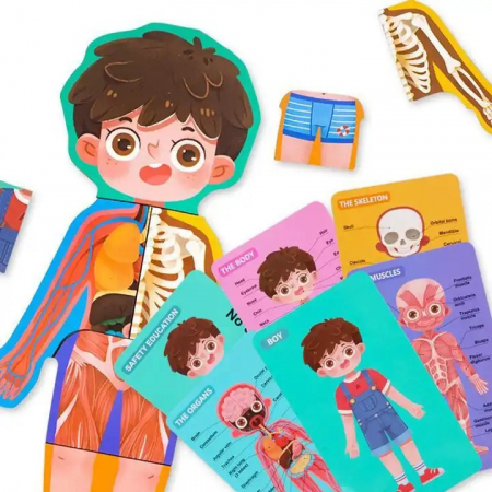 Puzzle educativ, Anatomia Corpului Uman, Limba Romana, Baiat, 36 piese, 3 ani+, Edujucarii [2]