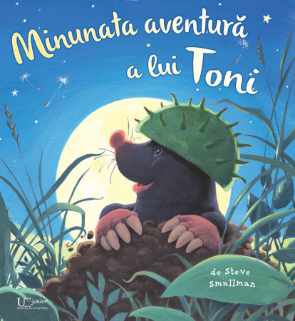 Editura Univers Enciclopedic - Minunata aventura a lui Toni (Quarto)