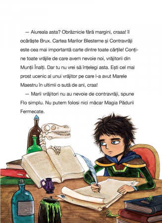 Ucenicul vrajitor. Blestemul Marelui Maestru Vrajitor,  Anna Taube [3]