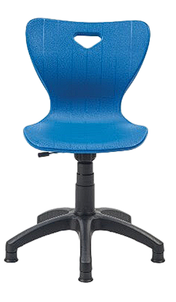 Scaun ergonomic pentru birou profesor [1]