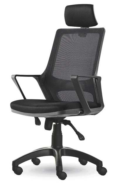 Scaun ergonomic de birou cu suport [1]