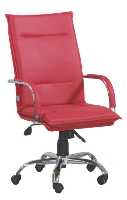 Scaun de birou ergonomic [1]