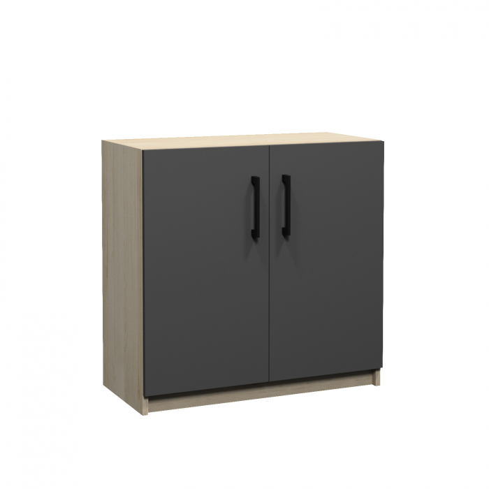 Cabinet Inchis cu raft [1]