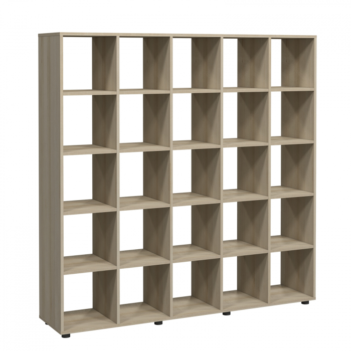 Rafturi deschise cu 25 de nise [1]