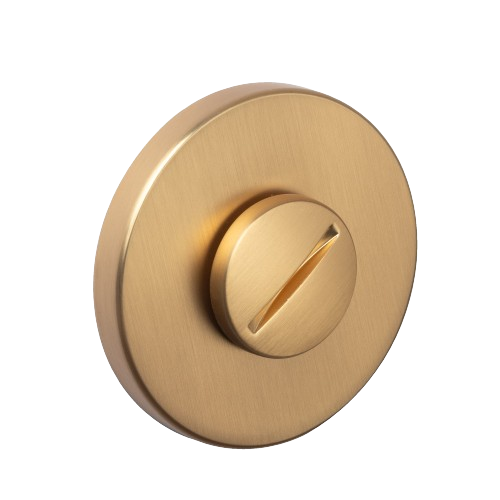 Rozetă-de-wc-ecovision-r-auriu [3]