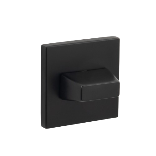 Rozetă-de-wc-ecovision-s-negru [2]