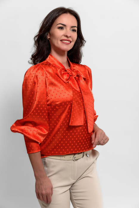Bluza [2]