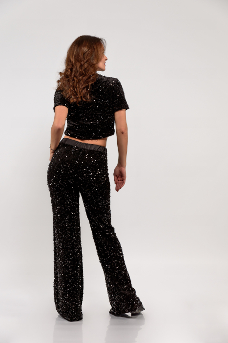 Pantaloni catifea cu paiete [2]
