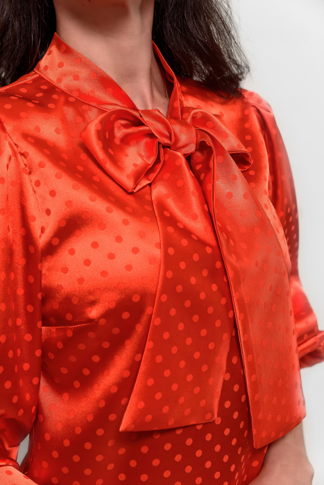 Bluza [4]