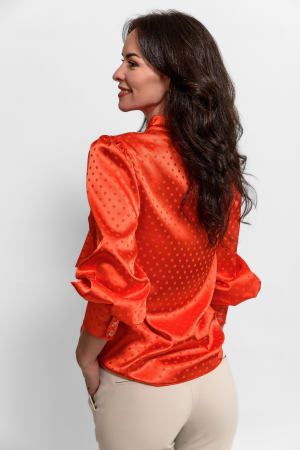 Bluza [2]