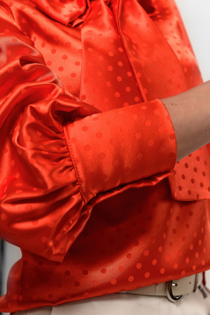 Bluza [4]