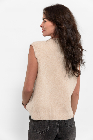 Vesta [3]