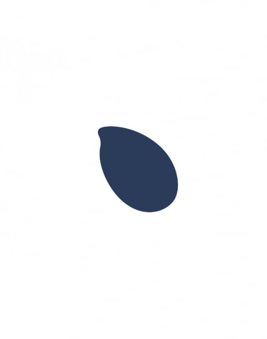 Reslin tint 20ml -Navy Blue [2]