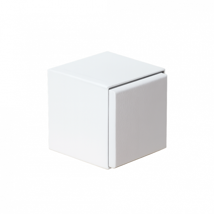 Luxury rigid box [4]