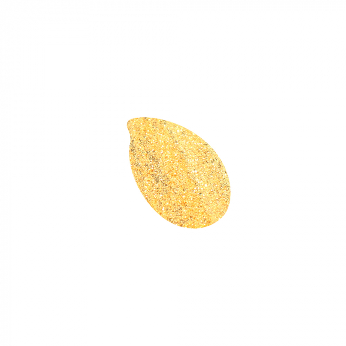 Mica Powder 9 g Sparkling Gold [2]
