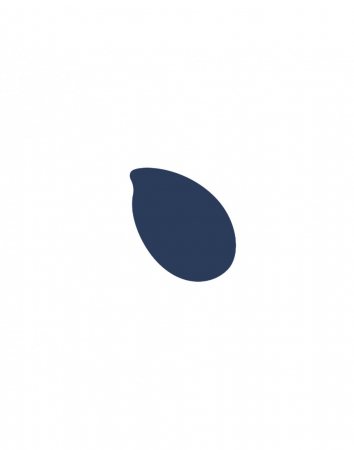 Reslin tint 20ml -Navy Blue [1]