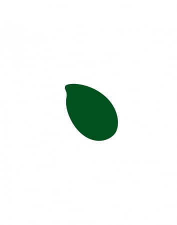 Cerneala Reslin 20 ml - Verde Smarald [1]