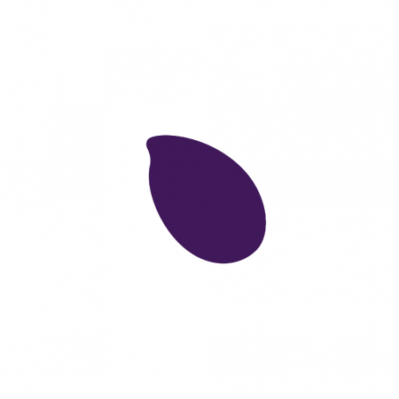 Cerneala Reslin 20 ml -Violet [1]