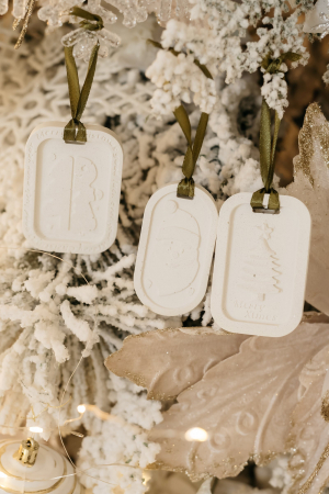 OBIECTE DECORATIVE - Tava Bijuterii Scoica