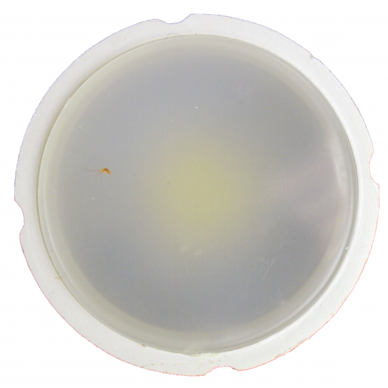 Bec Led Mr16 model R50, 6W=50W, 2700K, lumina calda [2]