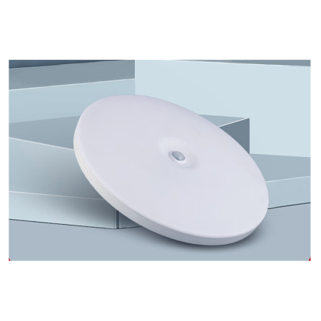Aplice & Plafoniere - Aplica LED FSL Cu Senzor De Miscare 18W Lumina Rece