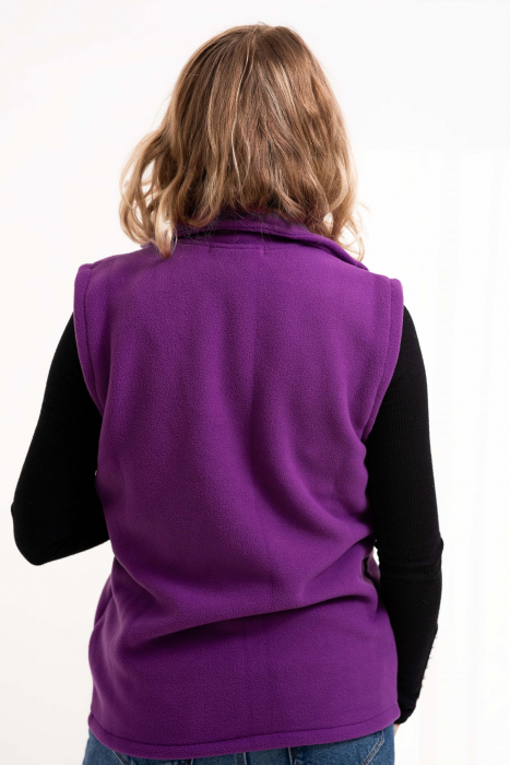 Vesta polar violet [3]