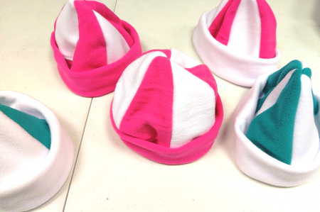 CACIULA DIN POLAR [4]