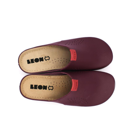 SABOTI MEDICALI ELENA BORDO [2]