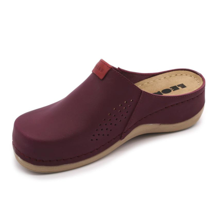 SABOTI MEDICALI ELENA BORDO [3]