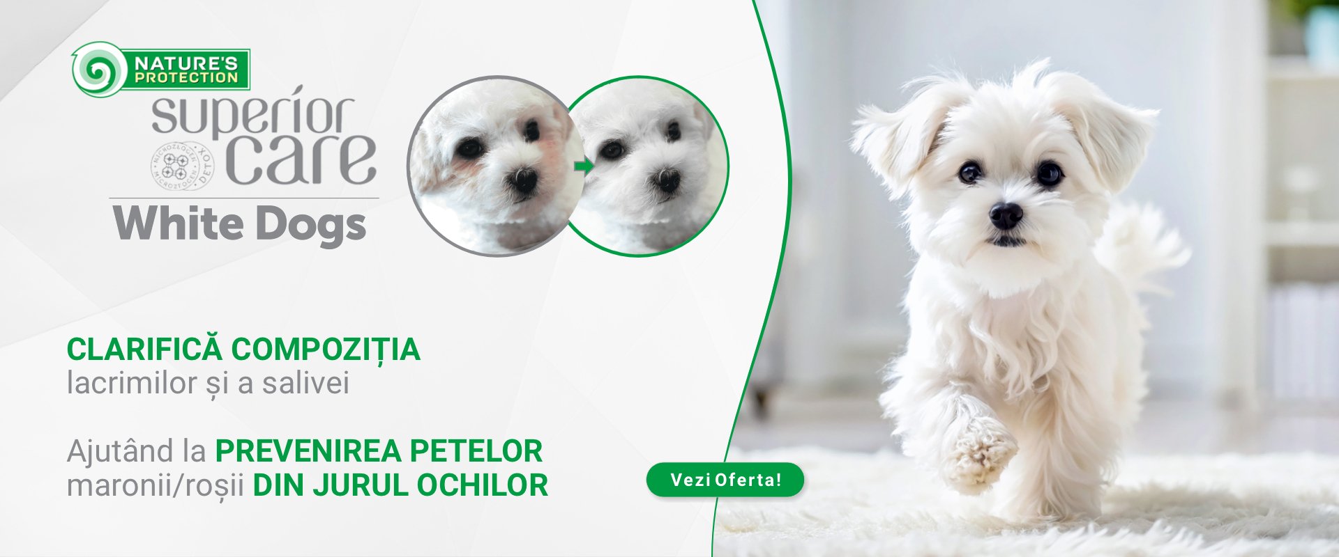 White Dogs [desktop]