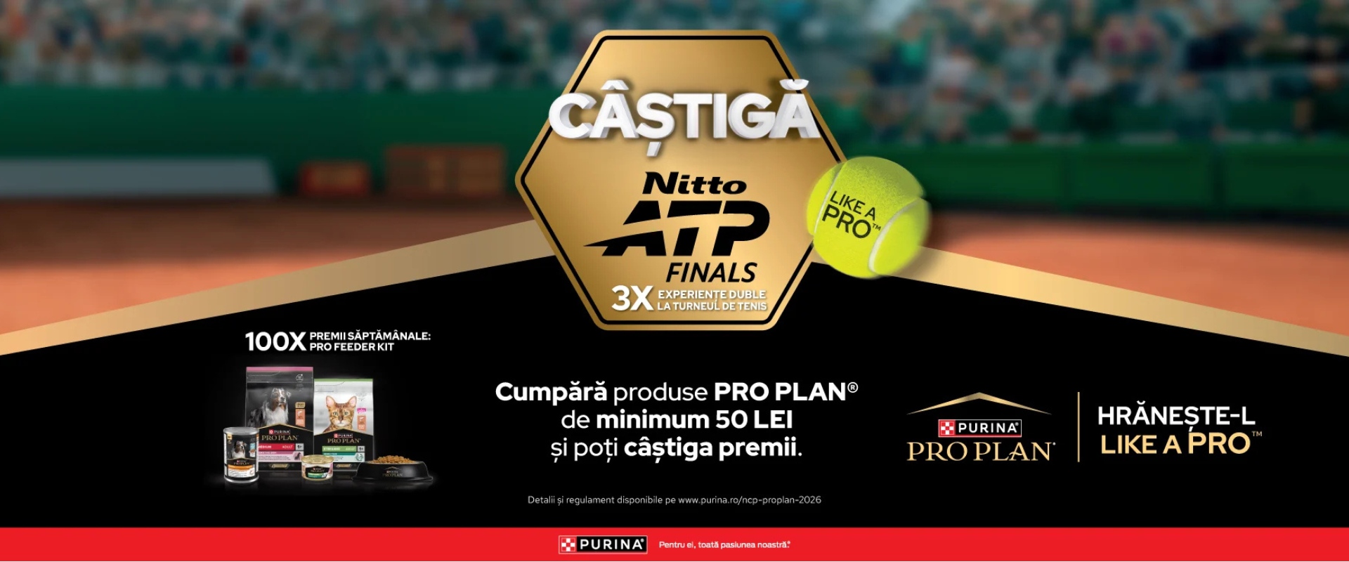 Banner Pro Plan Like A Pro