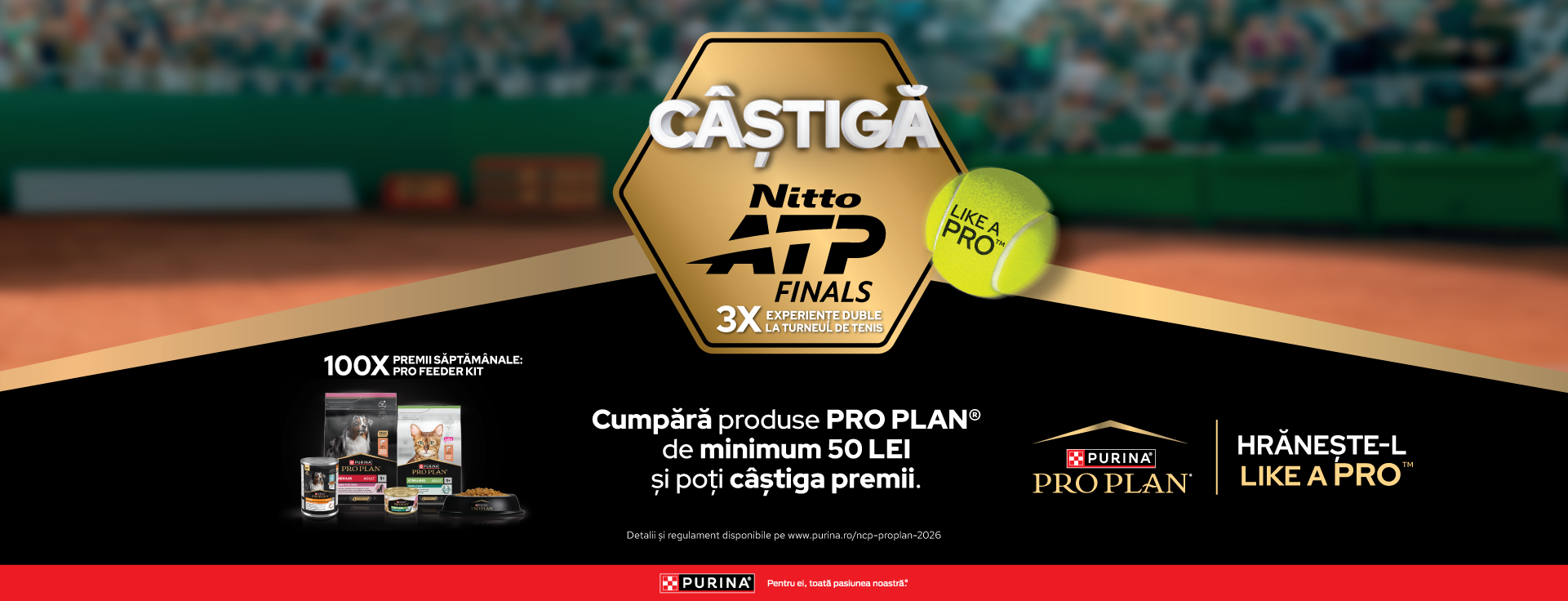 Banner Pro Plan Like A Pro