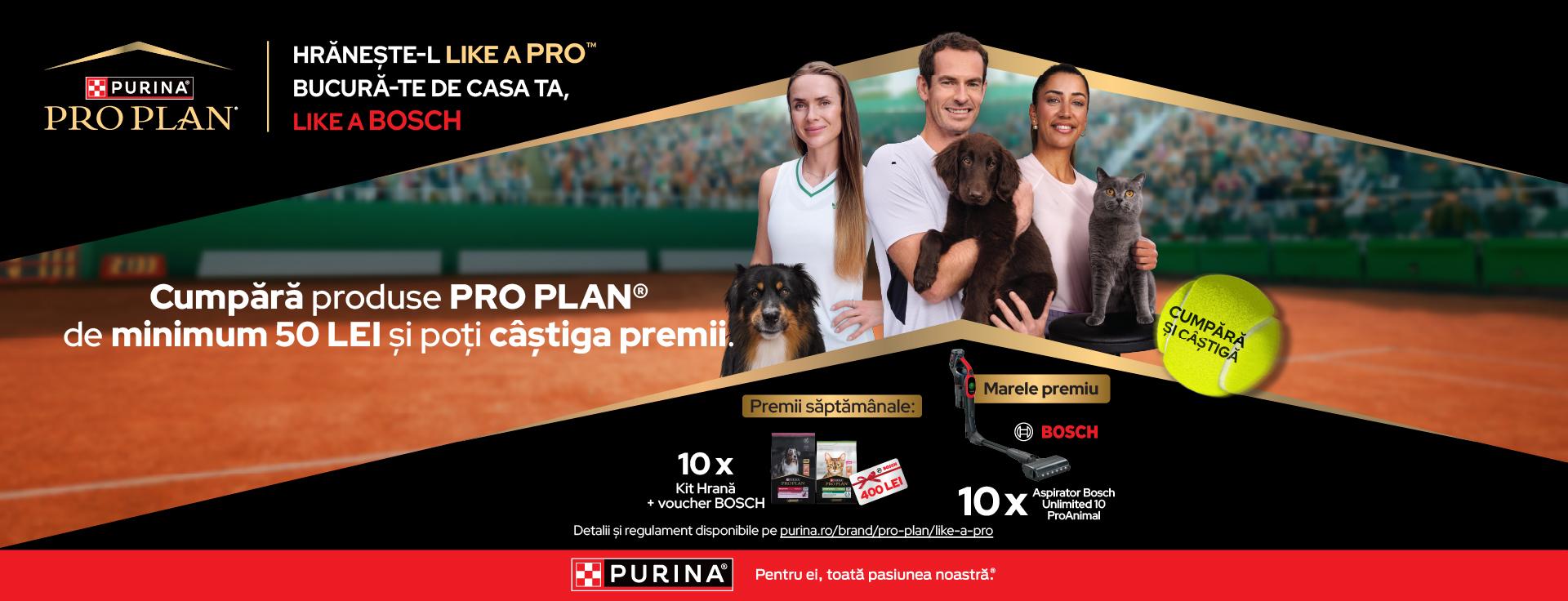 Banner Pro Plan